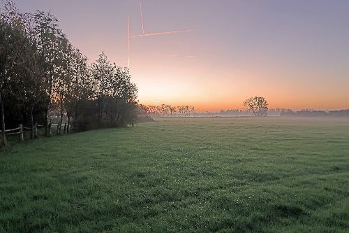 Zonsopgang over de weide in Werken