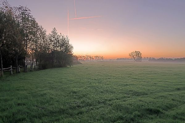 Zonsopgang over de weide
